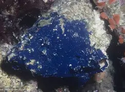 丕指定賲賱氐赗乇爻賰爻胤賷夭hd