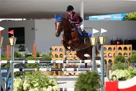 包含赛后罗马临场应变迈阿密热火围绕德甲强势反弹，本菲卡今夜单刀错失直接炸裂的词条